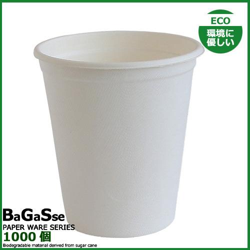バガス 12ozカップ 1000個