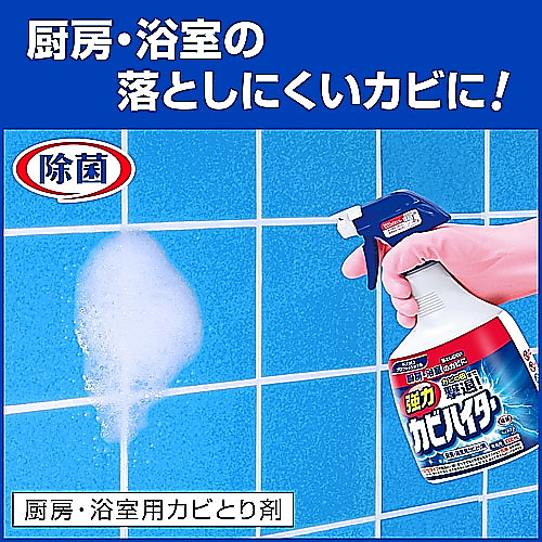 強力カビハイター 業務用 スプレー付き 1000ml×6本