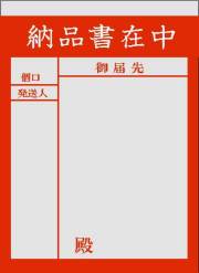 PE紙のり付袋（L-800A）納品書在中　2000枚