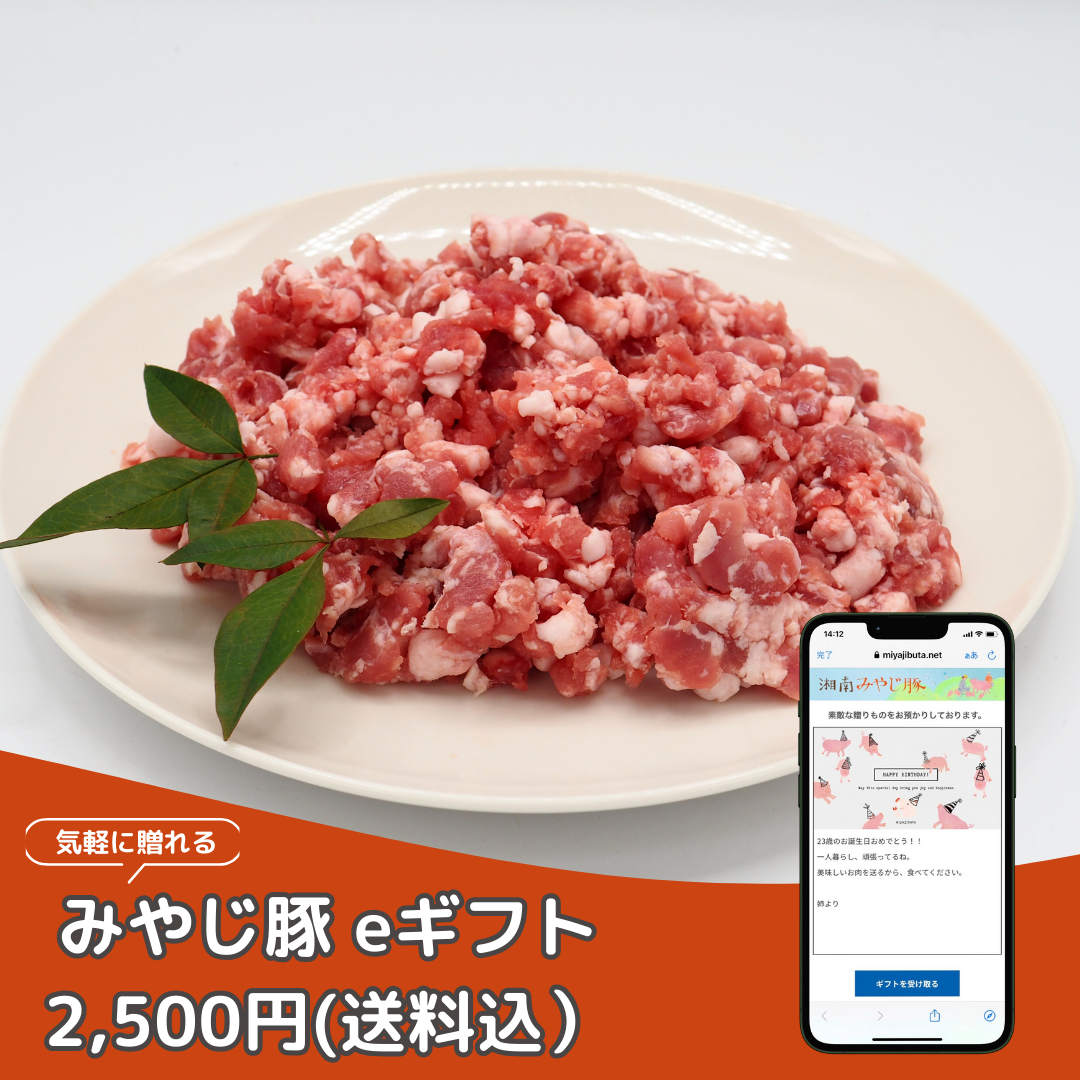 みやじ豚eギフト商品画像