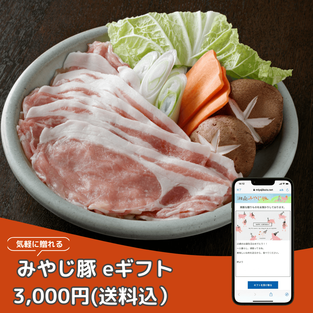 みやじ豚eギフト商品画像
