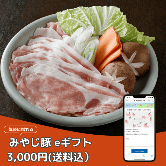 みやじ豚eギフト商品画像