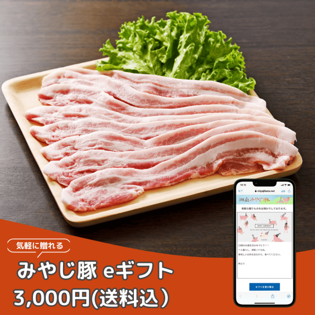 みやじ豚eギフト商品画像
