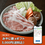 みやじ豚eギフト商品画像