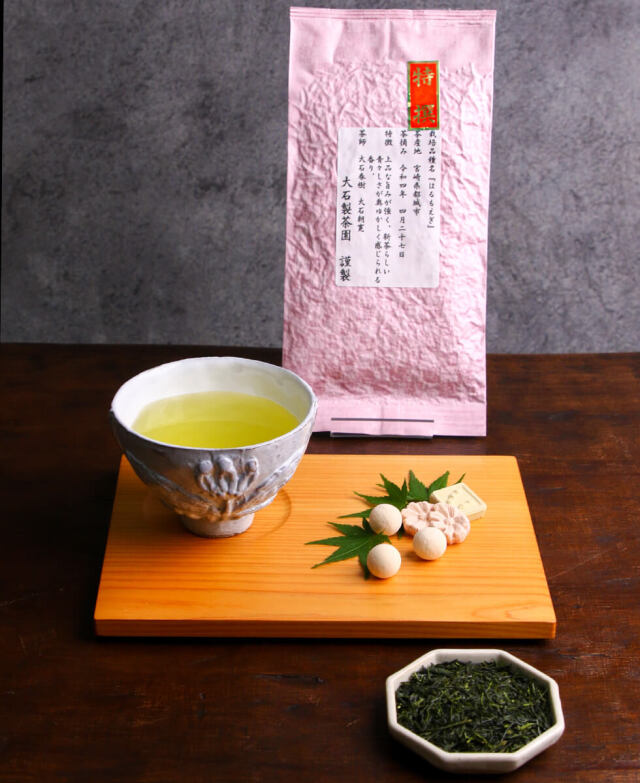 『都城 ~はるもえぎ~』5本セット 大石製茶園 みやこんじょ産直LiveShopping