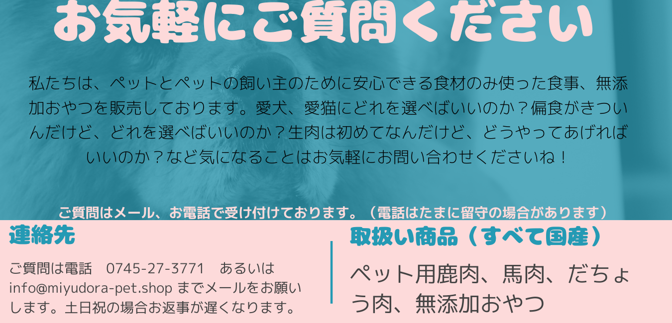 犬用鹿肉 馬肉 生肉 無添加おやつの販売 Miyudora Pet