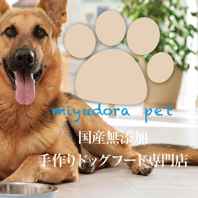 【食べ応え抜群】鹿筋大判ジャーキー　325g 早食いわんちゃんにじっくり食べれる 食べ応え抜群】鹿筋大判ジャーキー325g 早食いわんちゃんに