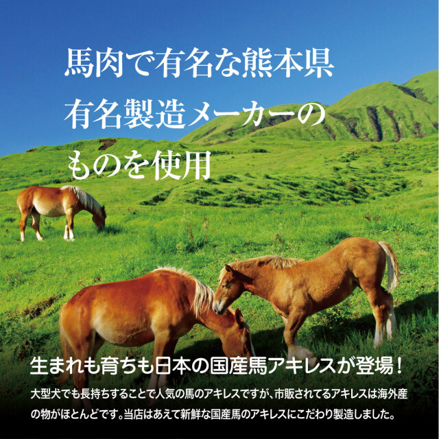 犬 おやつ 犬用 馬肉 ジャーキー 無添加 国産 国産馬アキレス ロング