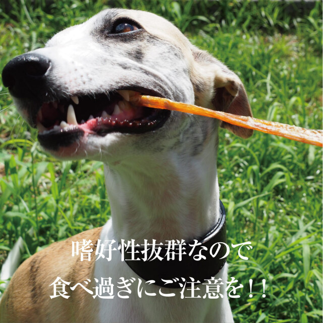 犬 おやつ 犬用 馬肉 ジャーキー 無添加 国産 国産馬アキレス ロング