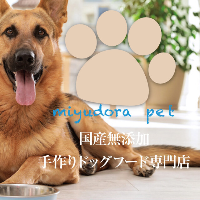 肉球ドッグフード ドライフード 18kg 成犬用 nachu-ram1.jpg