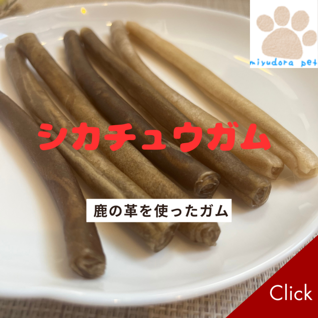 犬用 ガム シカチュウガム (鹿の革)デンタルスティック 鹿革 犬のガム 国産 無添加 おやつ ペット おやつ ガム 着色料不使用 ハミガキガム 歯磨きガム 口臭ケア 犬 ペット 犬用おやつ 送料無料 オヤツ 大型犬 中型犬用 小型犬