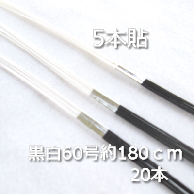 黒白水引60号