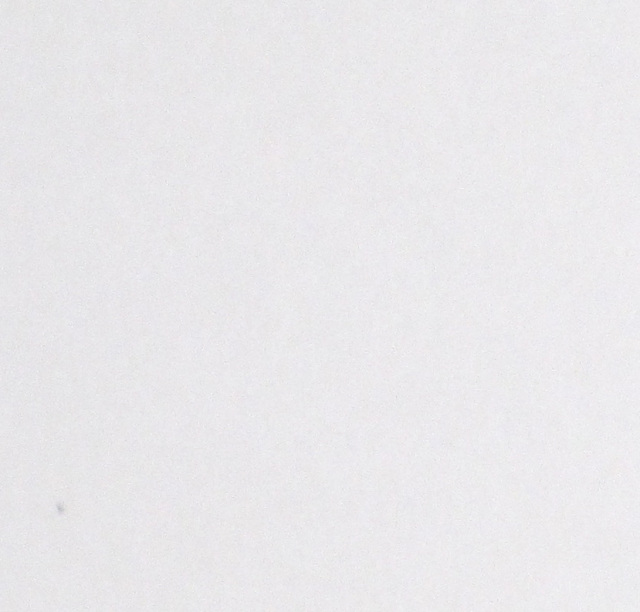 和紙白奉書