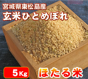 ������̵������������̵���۰������¿��Ǥ��������֤ۤ����ƤҤȤ�ܤ�ס�����5Kg