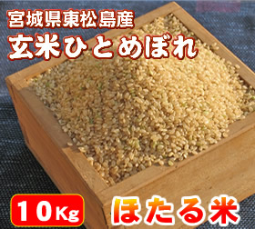 ������̵������������̵���۰������¿��Ǥ��������֤ۤ����ƤҤȤ�ܤ�ס�����10Kg