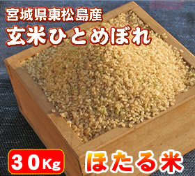 ������̵������������̵���۰������¿��Ǥ��������֤ۤ����ƤҤȤ�ܤ�ס�����30Kg