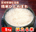 ������̵������������̵���۰������¿��Ǥ��������֤ۤ����ƤҤȤ�ܤ�ס�����5Kg