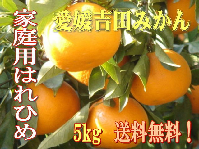 愛媛吉田みかん・希少種はれひめ(晴れ姫)5Kg家庭用*2S【送料無料】北海道・沖縄へのお届けについては別途送料500円負担