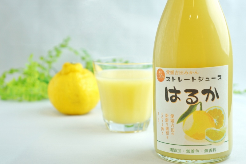 愛媛吉田みかん【はるかみかん】！ストレートみかんジュース720ml　1本