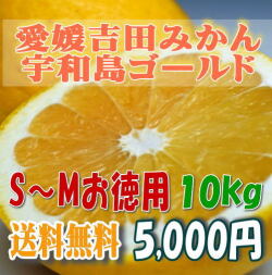 【愛媛吉田みかん・宇和島ゴールド】（河内晩柑・美生柑）10kgS～M・お徳用【送料無料】北海道・沖縄送料500円負担