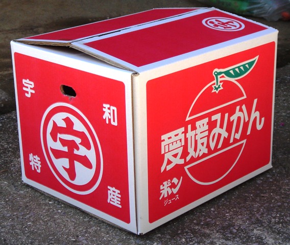 愛媛みかん 贈答用 販売 10kgm Lサイズ厳選