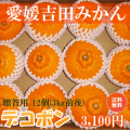 愛媛吉田みかん・デコポン12個3キロ位　おすそ分け、ご贈答にも【送料無料】北海道・沖縄送料500円負担