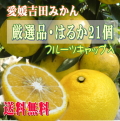 愛媛吉田みかんはるかみかん【厳選2１個】おすそ分け、ご贈答にも【送料無料】北海道・沖縄送料500円負担