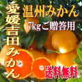 【贈答用】南愛媛吉田産　温州みかん厳選・7kg【送料無料】北海道・沖縄へのお届けについては別途500円負担