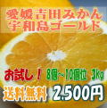 【愛媛吉田みかん】宇和島ゴールド（河内晩柑・愛南ゴールド・美生柑）3kg(8～10個位)お試しにも・送料無料・北海道・沖縄送料500円負担