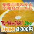 宇和島ゴールド・河内晩柑・美生柑・  愛媛吉田みかん★爽やかな夏のみかん・フルーツキャップ入り　贈答にも　3kg【送料無料】北海道・沖縄送料500円負担