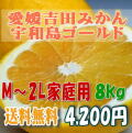 【愛媛吉田みかん・宇和島ゴールド】（河内晩柑・美生柑）8kgM～2L・家庭用【送料無料】北海道・沖縄送料500円負担