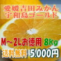 【愛媛吉田みかん・宇和島ゴールド】（河内晩柑・美生柑）8kgM～2L・お徳用【送料無料】北海道・沖縄送料500円負担