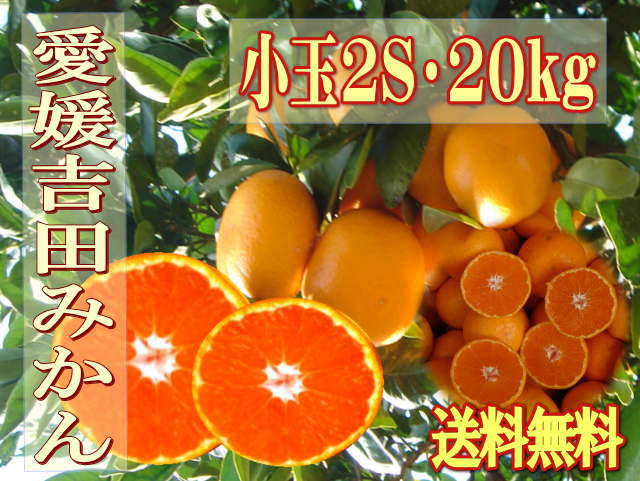 愛媛吉田みかん・早生温州20キロ★家庭用小玉みかん2S★【送料無料】北海道・沖縄は送料500円負担