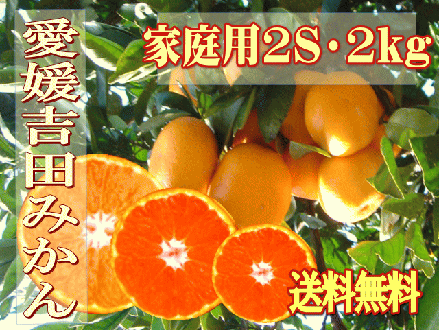 愛媛吉田・玉津みかん・温州みかん2kg★家庭用　小玉みかん2S★お試しにも【送料無料】北海道・沖縄は送料500円負担