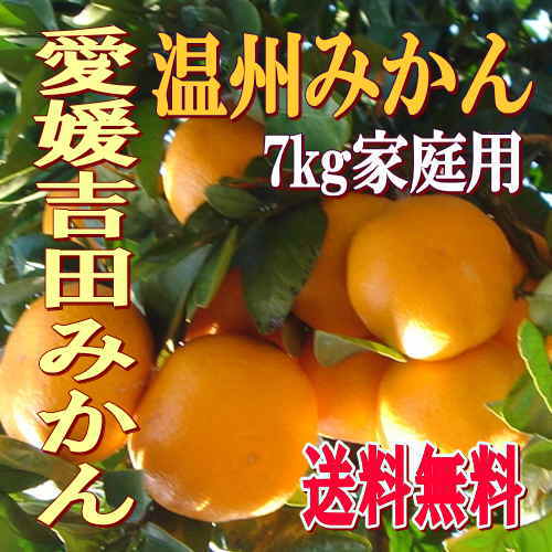 愛媛吉田みかん・温州7kg★家庭用S～2L位★【送料無料】北海道・沖縄は送料500円負担