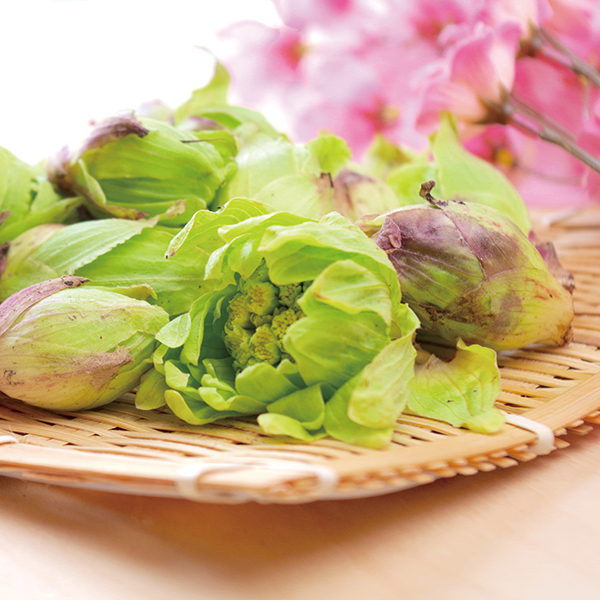 【自家製】ふきみそ【冷蔵便配達】【DM掲載商品】