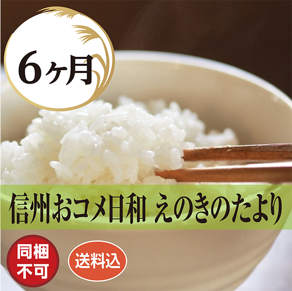 えのきのたより 6ヶ月