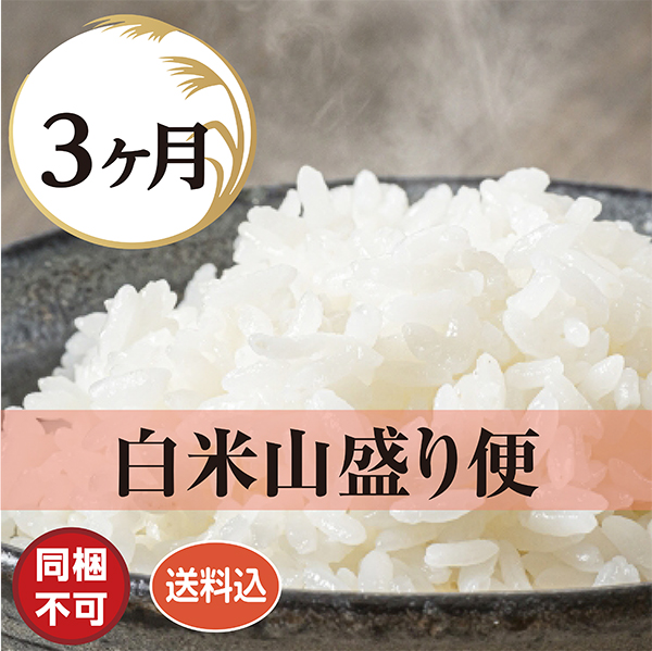 白米山盛り隊 3ヶ月