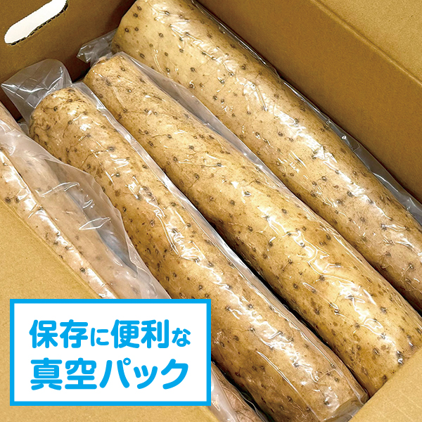 洗い長いも真空パック