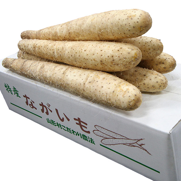 長芋