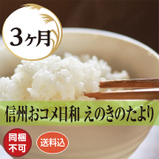 えのきのたより 6ヶ月