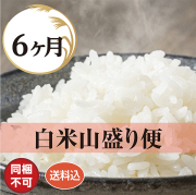 白米山盛り隊 6ヶ月