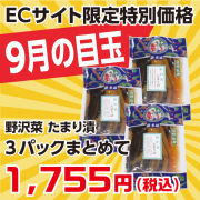 9月のおすすめ
