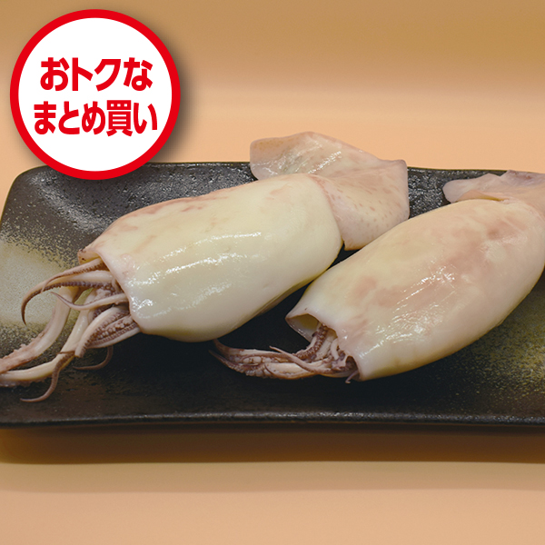 塩丸いかまとめ