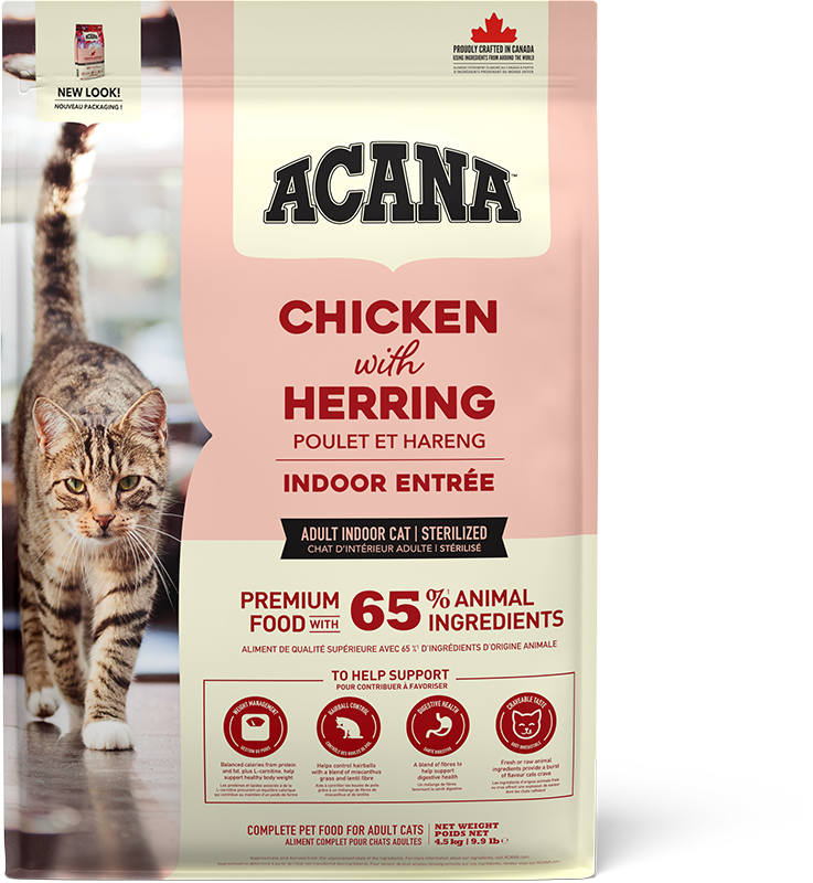 アカナキャットクラシック　インドアエントリー4.5kg