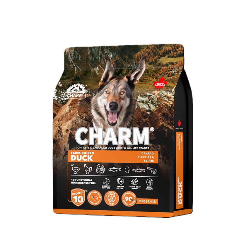 新チャームドッグ　ダッグ2㎏