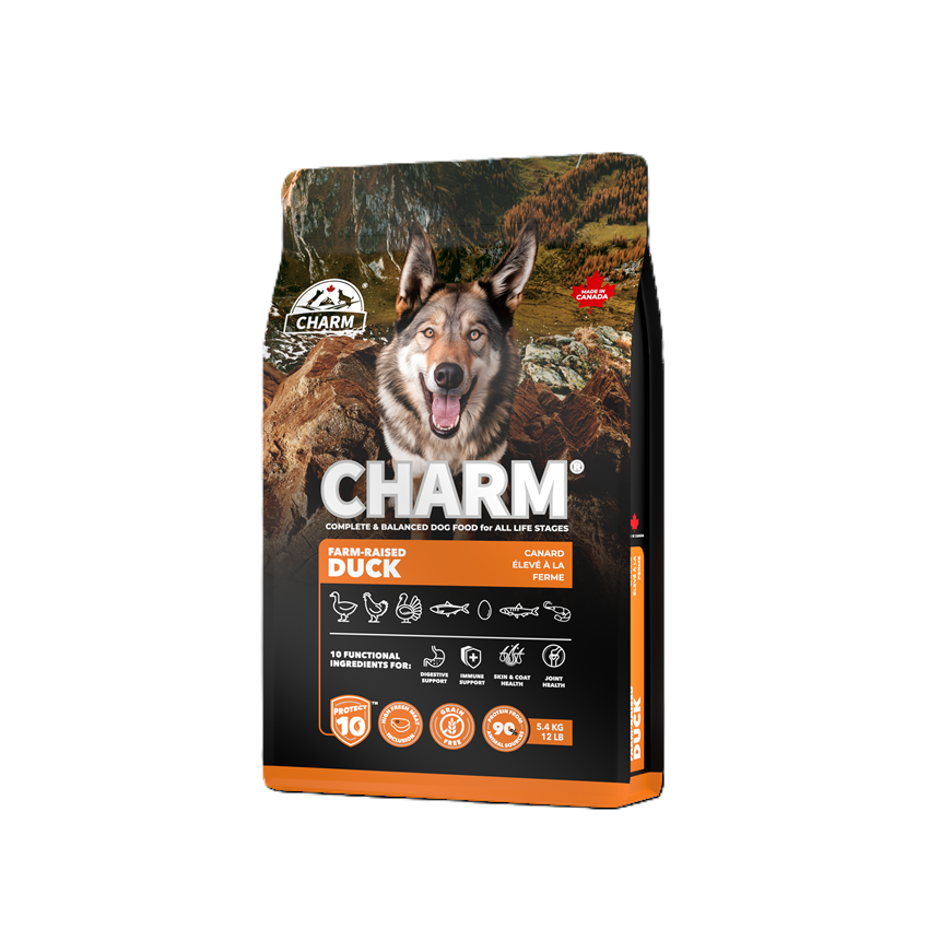 新チャームドッグ　ダッグ5.4㎏