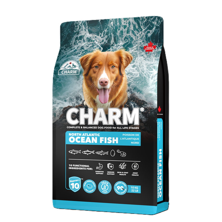 新チャームドッグ　フィッシュ10kg