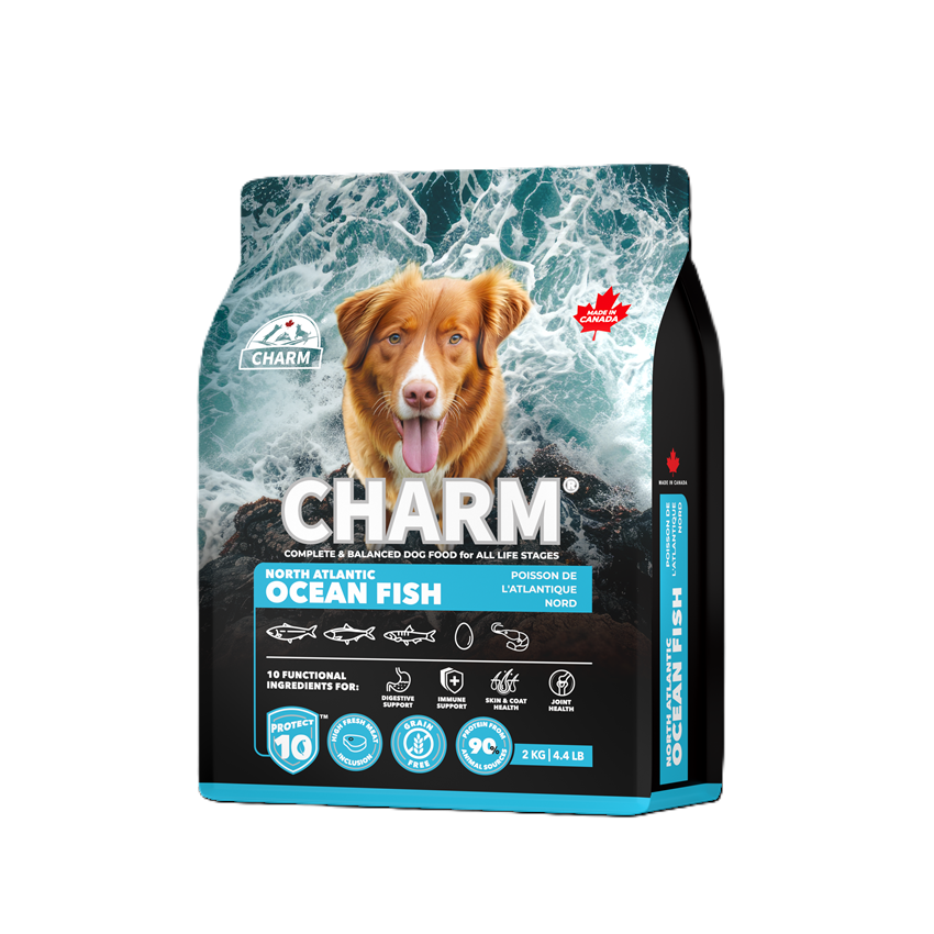 新チャームドッグ　フィッシュ2kg