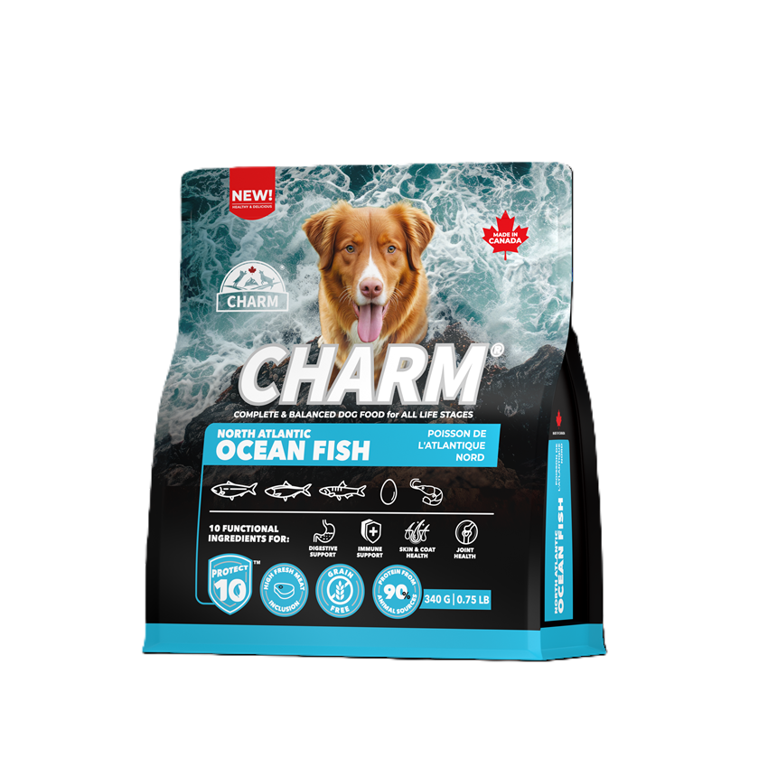 新チャームドッグ　フィッシュ340g